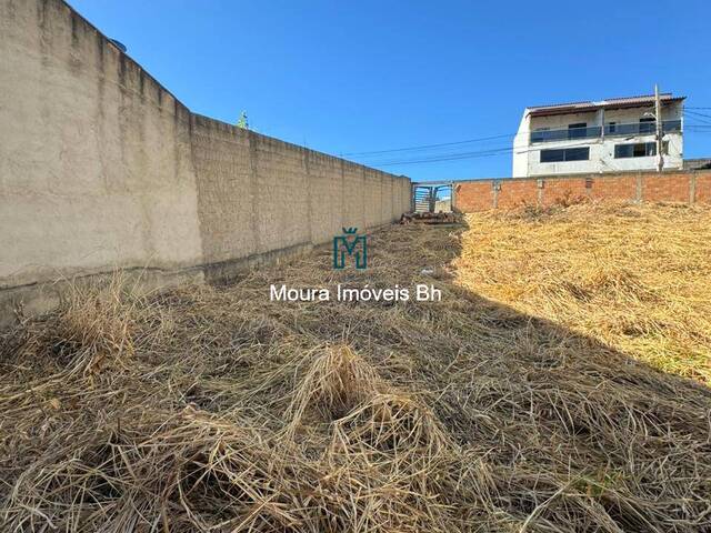 Terreno para Venda em Vespasiano - 4