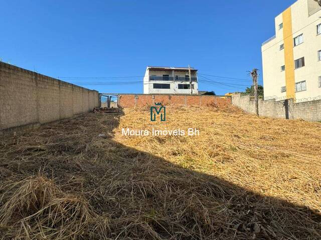 Terreno para Venda em Vespasiano - 5