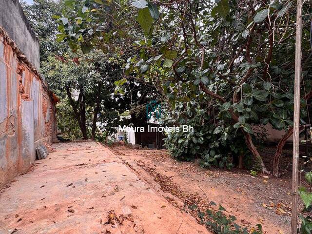Terreno para Venda em Belo Horizonte - 4