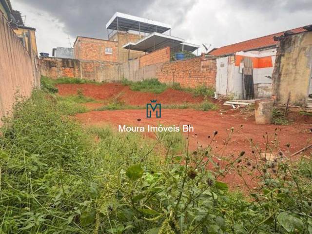 Terreno para Venda em Belo Horizonte - 4