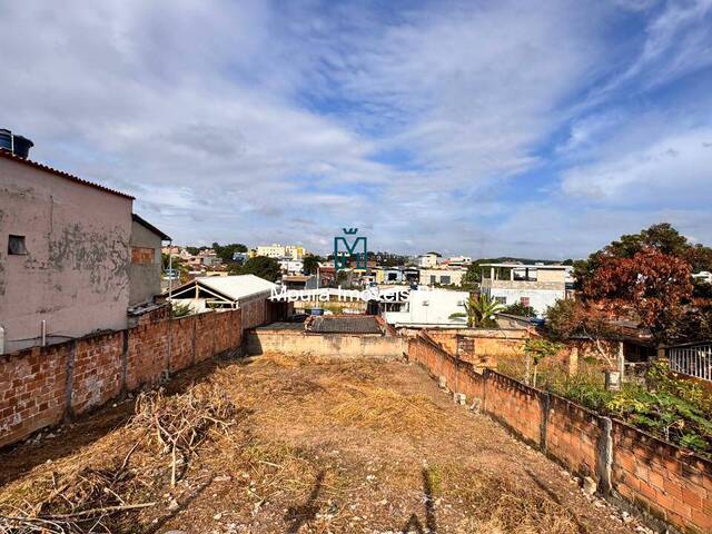 Terreno para Venda em Ribeirão das Neves - 4
