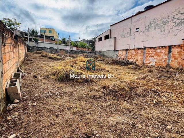 Terreno para Venda em Ribeirão das Neves - 5