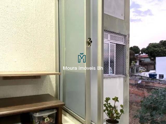Apartamento para Venda em Belo Horizonte - 5