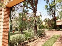 Sítio para Venda em São José da Lapa - 4